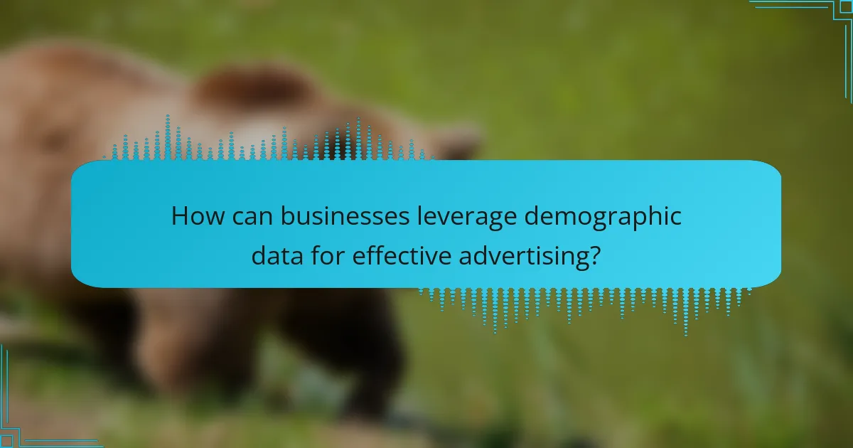 How can businesses leverage demographic data for effective advertising?