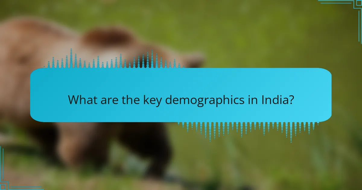 What are the key demographics in India?
