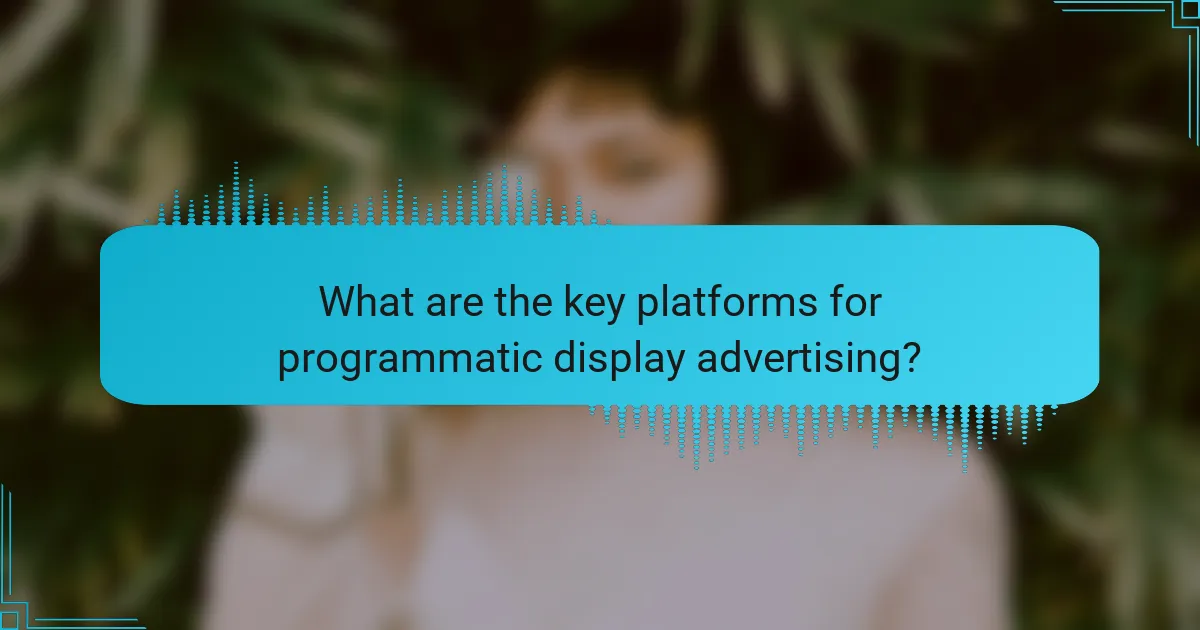 What are the key platforms for programmatic display advertising?